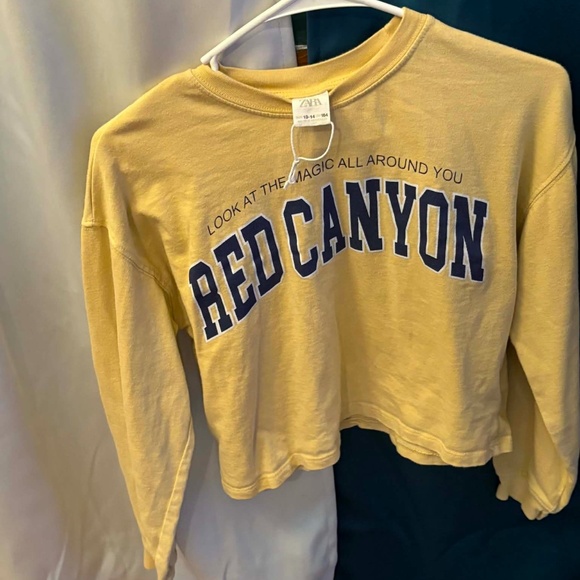 Zara yellow "Red Canyon" graphic print cropped sweatshirt - Picture 2 of 3